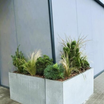 IMG-1fb635e2c6c079f5933f01866548ef36-V