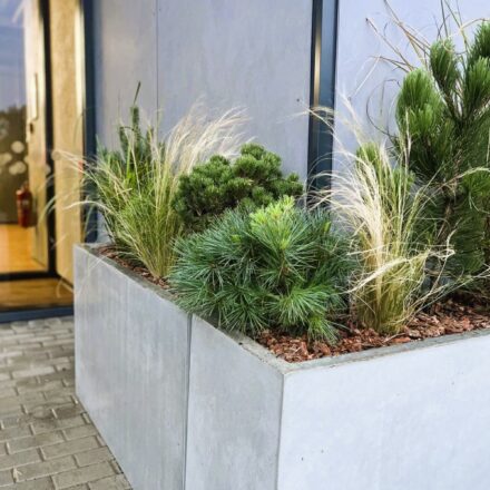 IMG-2f3afa411edeffe41c7ebad97ed751f2-V