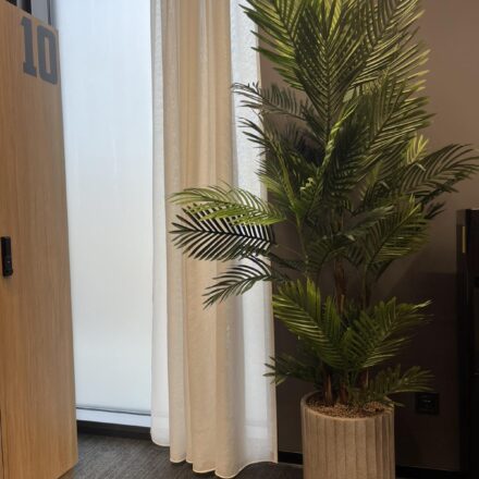 IMG-30a677cb332fc5786d32d69fca7d0022-V