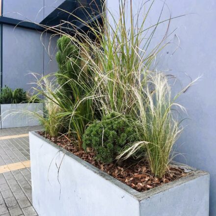 IMG-3ea7ccdbe33bada0f9a352be7d2f8ed3-V