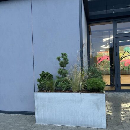 IMG-6f480fbe0dce29499852ee1f2c24ae79-V