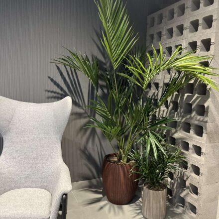 IMG-75ac4b9526d6132a836c06783091b617-V