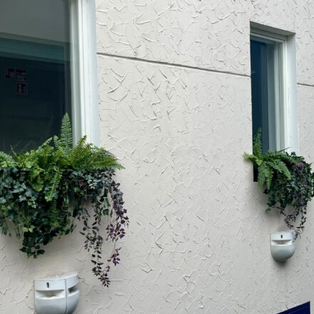 IMG-7937e2dc44b724027f101188b31f500d-V