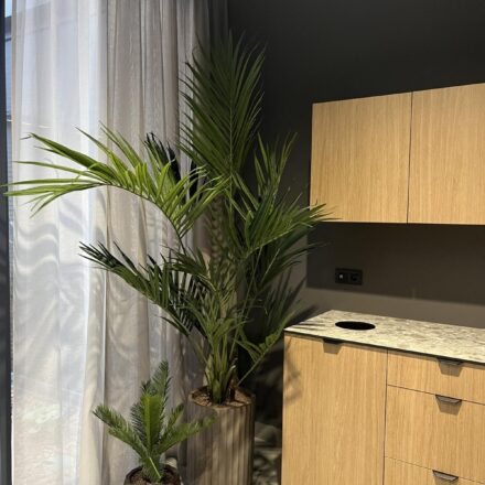 IMG-bac974514bee255916e9634ce1dd3452-V