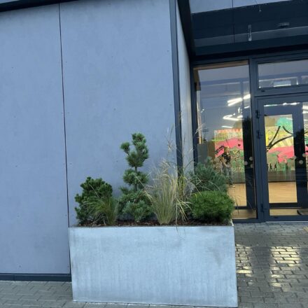 IMG-bb0f91bb1a16db869a44223963e2f6a5-V