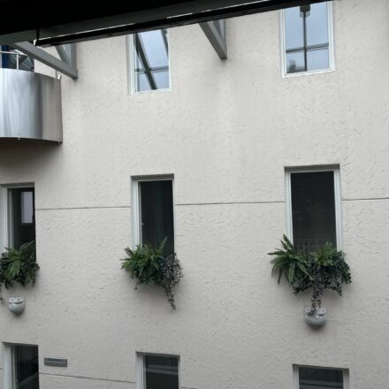 IMG-eb80eb61191e24b6da91b8eb208642d4-V