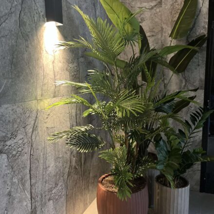 IMG-eda9b85260c0432baa82fdedaf3e4f79-V