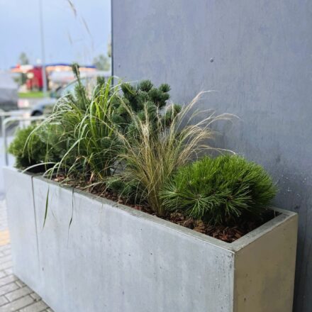 IMG-edc9ac900f66d6144c8558fc1f283479-V