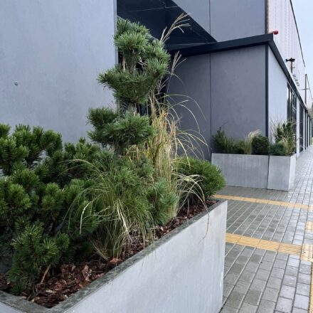 IMG-eefb868b648b1129264e6f26b31d7c27-V