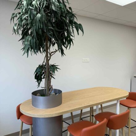 b8ef0b36-4ff0-4804-9cd8-3a424833bf19