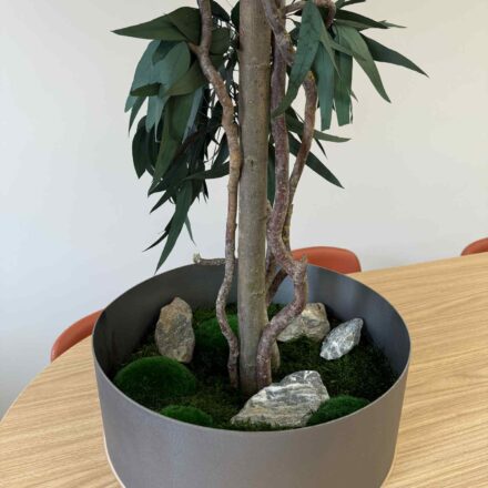 bf469111-4a46-497c-9af2-185ef5771049