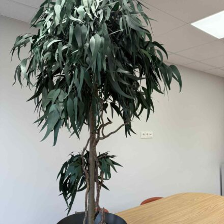 e64af2c9-3a9d-4b06-89dd-19f74dedbb74