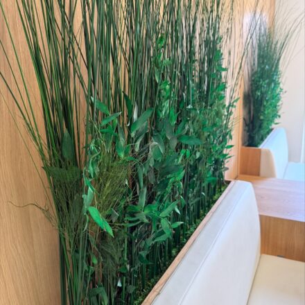 processed-0F893CD5-E7DA-400D-87FF-962A6AB57C96