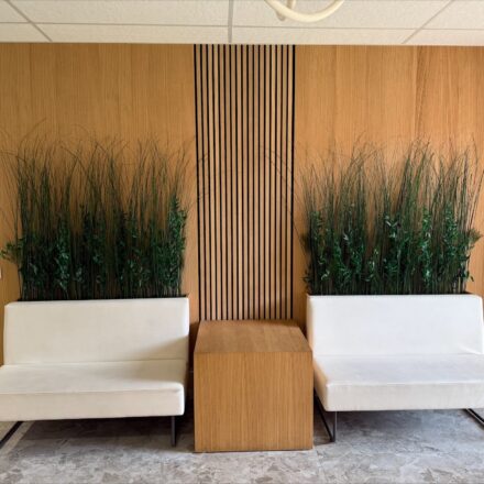 processed-554686A3-18C6-41A5-B440-7A6A490C628D