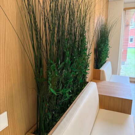 processed-5E09EF92-8CCE-4FCE-AF68-AB76004E7F13