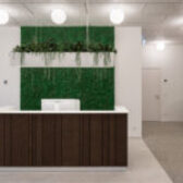 Stabilizuotų samanų ir augalų dekoras biure