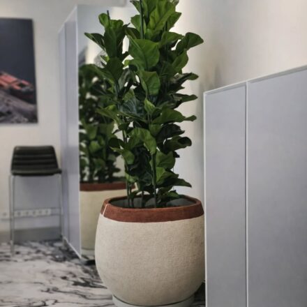 648757489_18164132704416264_5077125584688152538_n