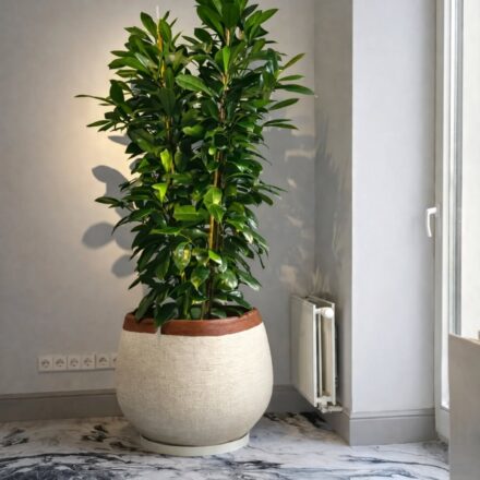 649244887_18164132683416264_1019411082408997814_n