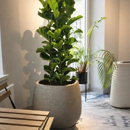 649593440_18164132692416264_8628264453243952739_n