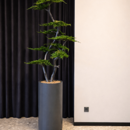 ChatGPT Image 2026-03-13 14_19_44