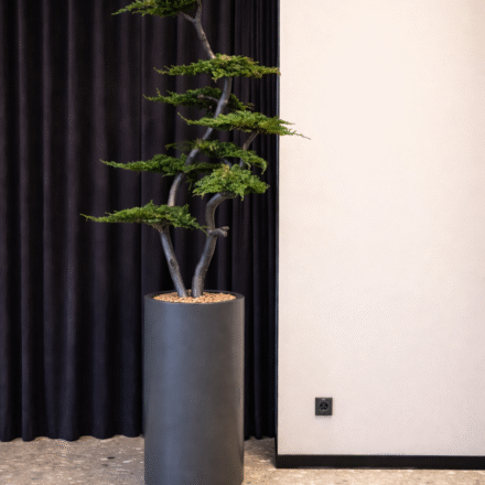 ChatGPT Image 2026-03-13 14_21_03