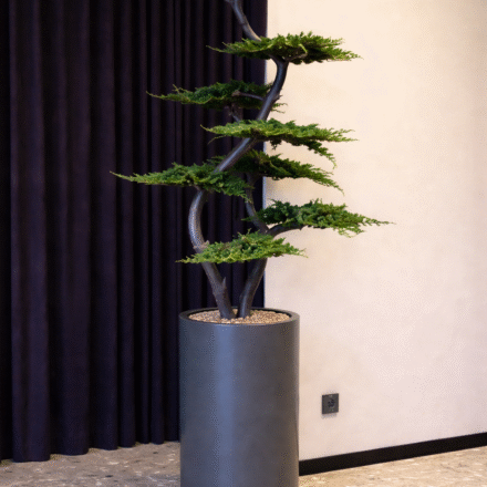 ChatGPT Image 2026-03-13 14_22_59