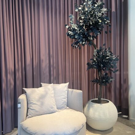 IMG-733fb6c46b44a85dcfe764e2c41266ed-V