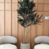 STABILIZUOTI MEDELIAI REABILITACIJOS KLINIKOJE